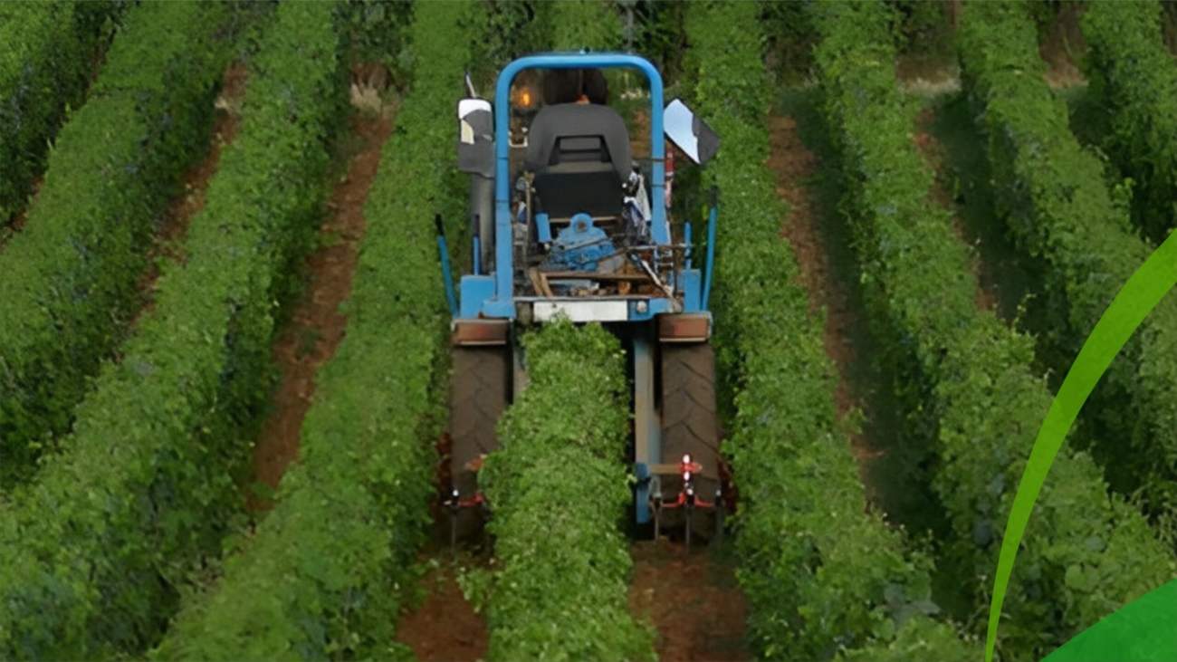 SUSTAINABLE FARMING_012446