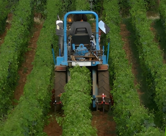 SUSTAINABLE FARMING_012446
