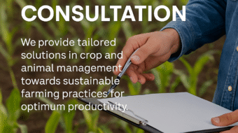 ChatGPT Image Aug 19, 2025, 02_06_35 PM