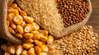 ChatGPT Image Aug 22, 2025, 01_50_24 PM