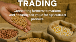 ChatGPT Image Aug 22, 2025, 12_32_54 PM