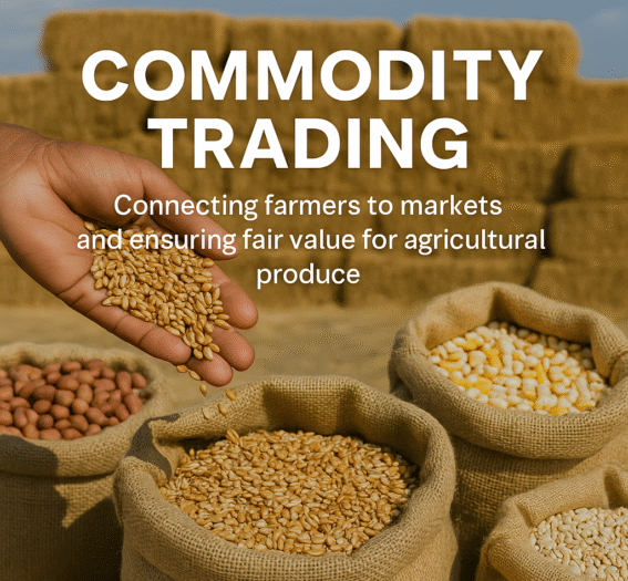 ChatGPT Image Aug 22, 2025, 12_32_54 PM