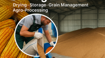 ChatGPT Image Aug 22, 2025, 12_55_31 PM