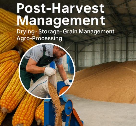 ChatGPT Image Aug 22, 2025, 12_55_31 PM